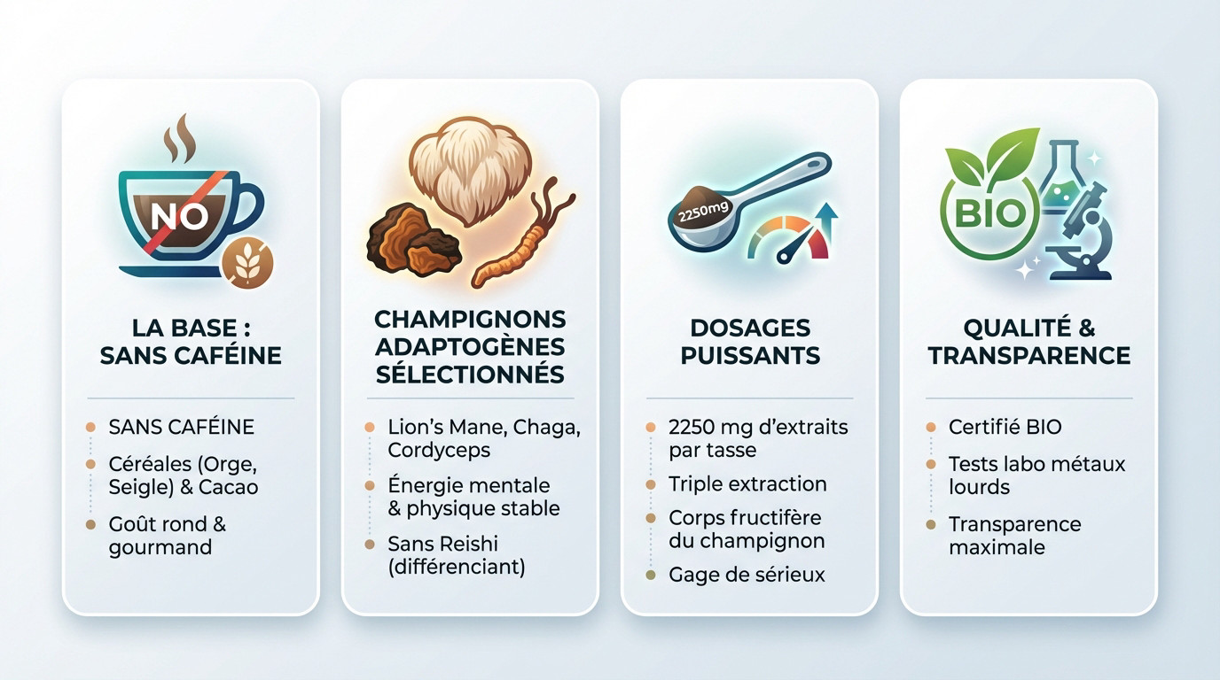 Infographie détaillant les bienfaits des champignons adaptogènes et la composition de Bonjour Drink