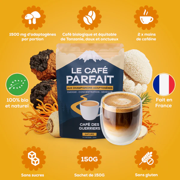 café des guerriers avis